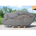 Stenopterygius quadriscissus Das Fossil selbst ist 265 cm lang und die Platte mißt etwa 330 cm x 160