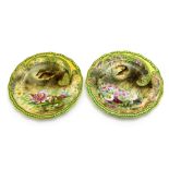 A pair of Cauldon China hand painted cabinet plates, each with fish by S Pope,