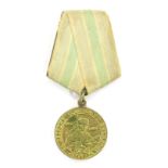 Soviet Defence of the Soviet Arctic Medal.