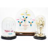 A glass makers apprentice example of three decorative birds on a plinth under a glass dome,