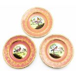 J McLaughlin, three painted cabinet plates, gadrooned and foliate borders,