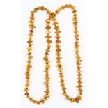 A single row Amber necklace, the rough polished long necklace approx 60 inches long,