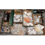 Bulk quantity of geology related collectable's,