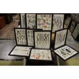 Thirteen framed 19th Century decorative natural history colour prints (13)