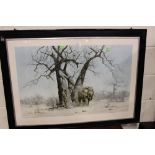 David Shepherd print of an Elephant