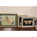 Four framed works by Clarence Wilson