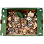 A box of Border Fine Arts and similar figures, primarily Owls,