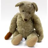 A 1930s Steiff style teddy bear, with humped back, long snout and extended paws,