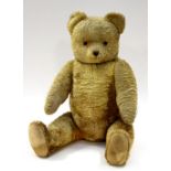 A circa 1930's large golden plush Teddy bear,