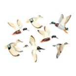 A collection of Wade Flying Ducks, wall hanging, Shoveller Drake, Shoveller,