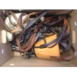 A quantity of Pony & Horse bridles, muzzle, snaffles, headcollars etc...