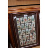Framed and glazed cigarette cards,' Wills' 'Pirate' cards, Oriental interest,