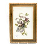 A 19th century hand painted porcelain plaque (framed) Clematis initialled R.F.