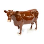 A Beswick model of a Devon Poll cow, gloss,
