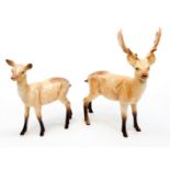 A Beswick Roe Deer Stag and a Beswick Roe Deer Roe (3)