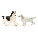 A Beswick English Springer Spaniel, repaired foreleg and no base, together with an English setter,