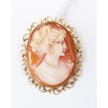 A cameo brooch in 9ct yellow gold mount, complete with safety chain, 43 by 35 mm approx,