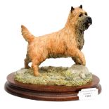 Border Fine Arts Cairn Terrier