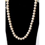 A freshwater pearl necklace