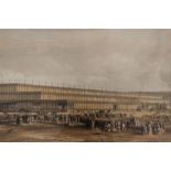 Large 19th-century panoramic lithograph commemorating the opening of the Crystal Palace in Hyde