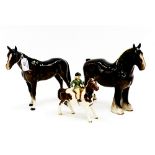 A bay shire horse, a bay race horse,