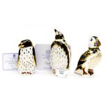 Royal Crown Derby Endangered Species Galapagos Penguin, limited edition 666/1000, with certificate,