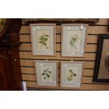 Four 19th century botanical prints and a large gilt framed pastoral farmyard print (5)