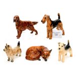 A Royal Doulton Airedale dog, Red Setter, together with s Beswick 'resting' fox,