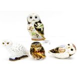 Four Royal Crown Derby Owls, comprising: Twilight Owl, Little Owl and Owl,