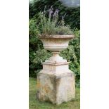 A cast iron urn planter on square plinth,