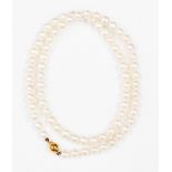 A string of cultured pearls with 9ct gold clasp,