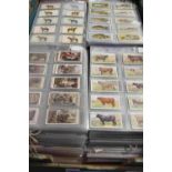 A box containing a large quantity of cigarette cards, mostly Player's, some complete sets,