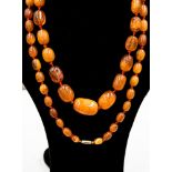 A graduated amber oval bead necklace on a yellow metal screw clasp,