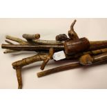 A collection of Rustic walking sticks.