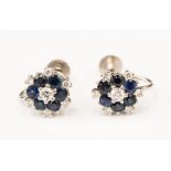 A pair of diamond and sapphire cluster earrings, each claw set central diamond of approx 0.