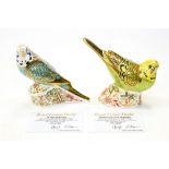 Two Royal Crown Derby Budgeriegars: Spangle Grey Green Budgerigar and Sky Blue Budgerigar,