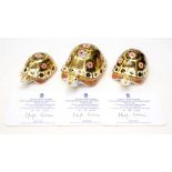 Royal Crown Derby first quality 'The Yorkshire Rose Tortoise Family' Farther Tortoise limited