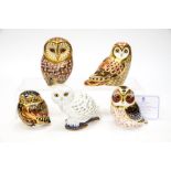Royal Crown Derby Tawny Owl, with certificate, with Short Eared Owl, Snowy Owl,