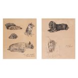 A pair of lithographs, one heightened with white, studies of dogs. Most likely after Cecil Aldin, c.