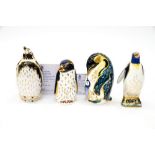 Four Royal Crown Derby Penguins: Galapagos Penguin, limited edition 428/1000 with certificate,