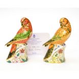 Royal Crown Derby first quality Lorikeet, limited edition 336/2500, with certificate,