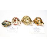 Royal Crown Derby Endangered Species Madagascan Tortoise, limited edition 428/1000,