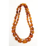 A graduated amber oval bead necklace on a yellow metal screw clasp,