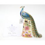 Royal Crown Derby first quality Designers' Choice Derby Peacock, limited edition 427/750,