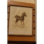 An original coloured etching of a foal,