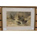 A late Victorian watercolour, depicting, house sparrows feeding in the straw,