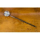 Small silver/silver plated ladle with gold coin to centre