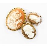 Three cameo brooches,