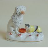 An unusual Staffordshire model of a poodle and a cat sitting on a base, circa 1840, approx 12.