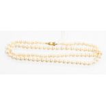 A string of cultured pearls with 9ct gold clasp